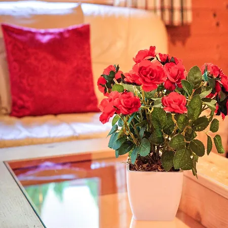 Сasa de vacaciones Wildschoenau Alpine Comfort With Family, Cleaning Included *